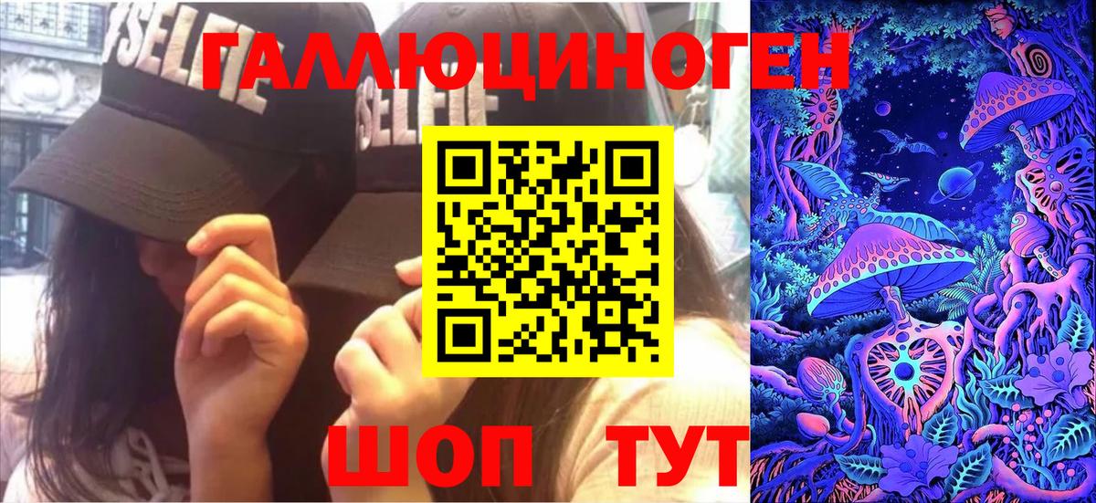 Псилоцибиновые грибы Psilocybe Железногорск